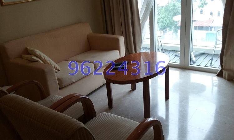 Palm Loft (D15), Apartment #162305042